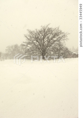 首爾鐘路區景福宮 33445949
