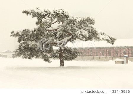 首爾鐘路區景福宮 33445956