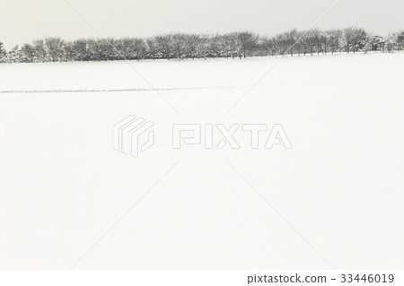 Gakwon Farm, Gochang-gun, Jeonbuk Gakwon Farm, Gochang-gun, Jeonbuk 33446019