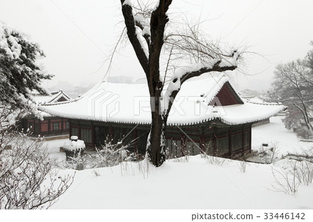 Gyeongmyeongjeon, Changgyeonggung, Jongno-gu, Seoul Gyeongmyeongjeon, Changgyeonggung, Jongno-gu, Seoul 33446142