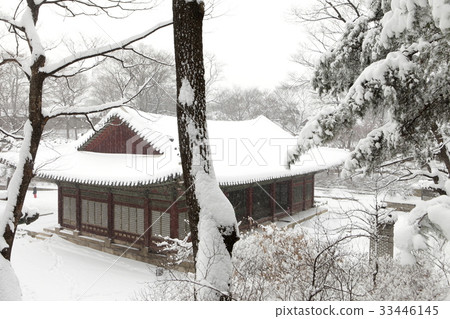 首爾鐘路區昌慶宮Gyeongyeyejeon 33446145