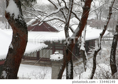 Gyeongmyeongjeon, Changgyeonggung, Jongno-gu, Seoul Gyeongmyeongjeon, Changgyeonggung, Jongno-gu, Seoul 33446149