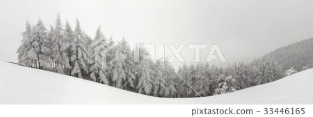 Daegwallyeong Ranch, Daegwallyeong, Pyeongchang-gun, Gangwon-do 33446165