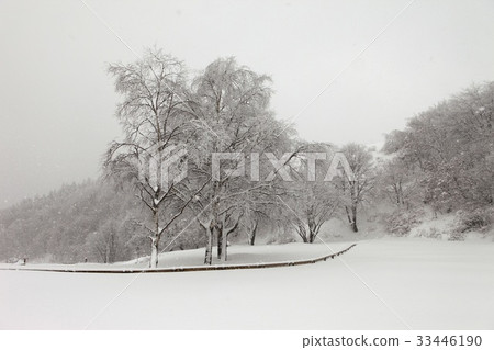 Daegwallyeong Ranch, Daegwallyeong, Pyeongchang-gun, Gangwon-do 33446190