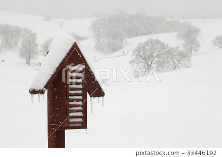 江原道平昌郡大關嶺大關嶺牧場 33446192