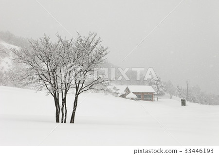 江原道平昌郡大關嶺大關嶺牧場 33446193