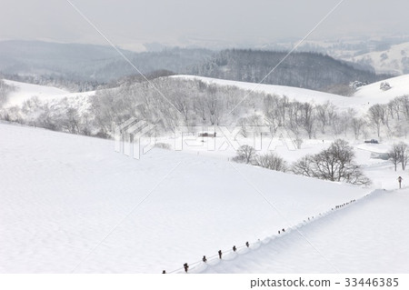 Daegwallyeong Ranch, Daegwallyeong, Pyeongchang-gun, Gangwon-do Daegwallyeong Ranch, Daegwallyeong, Pyeongchang-gun, Gangwon-do 33446385