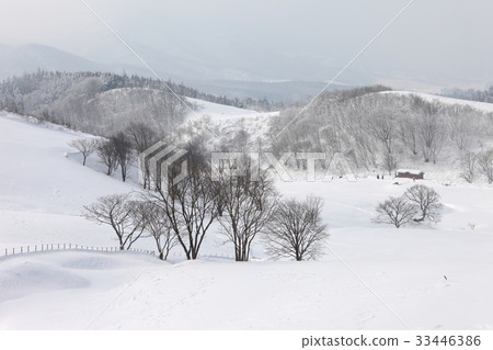 Daegwallyeong Ranch, Daegwallyeong, Pyeongchang-gun, Gangwon-do Daegwallyeong Ranch, Daegwallyeong, Pyeongchang-gun, Gangwon-do 33446386