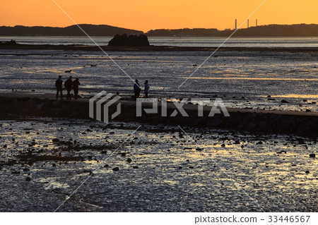 Nuey Island, Daebu Island, Ansan City, Gyeonggi-do 33446567