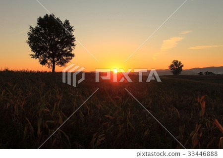 Anseong ranch, Anseong-si, Gyeonggi-do 33446888