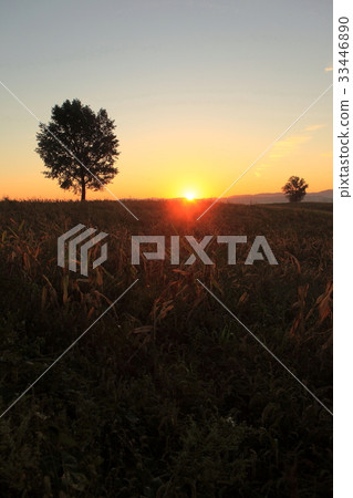 Anseong ranch, Anseong-si, Gyeonggi-do 33446890