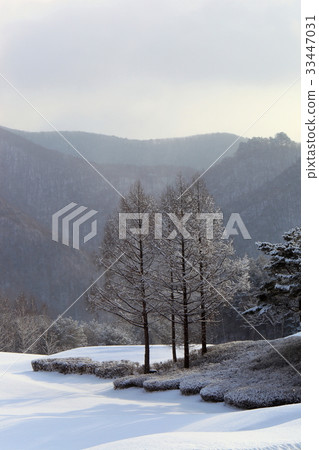 Daegwallyeong, Pyeongchang-gun, Gangwon-do 33447031
