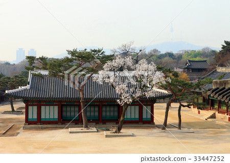 Environment Exhibition, Changgyeonggung Palace, Jongno-gu, Seoul Environment Exhibition, Changgyeonggung Palace, Jongno-gu, Seoul 33447252