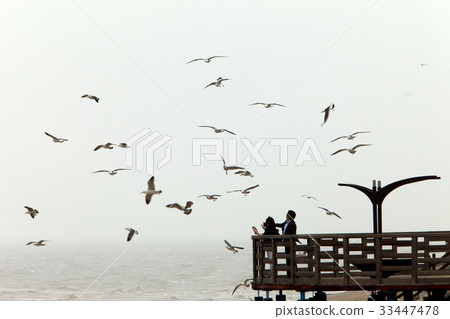 京畿道華城市Jebu島 33447478