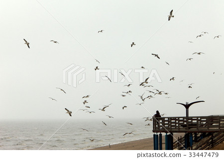 京畿道華城市Jebu島 33447479