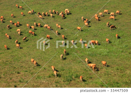 Unsan, Seosan, Chungnam 33447509