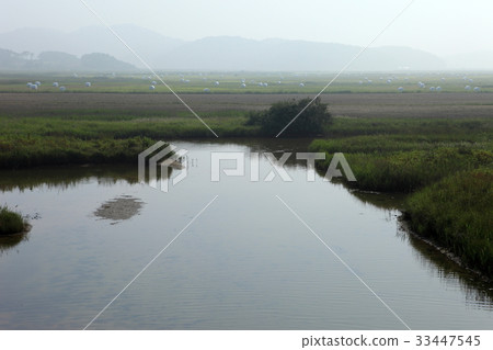 Anmyeondo, Taean-gun, Chungnam 33447545