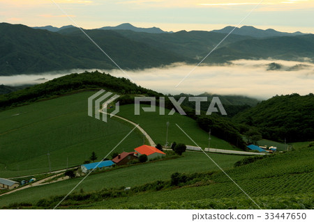 Highland, Wangsan-myeon, Gangneung, Gangwon-do 33447650