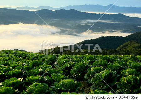 Highland, Wangsan-myeon, Gangneung, Gangwon-do 33447659