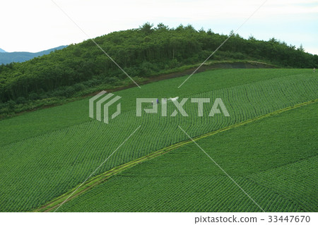 Highland, Wangsan-myeon, Gangneung, Gangwon-do 33447670