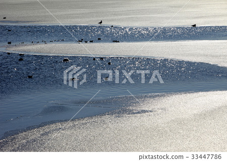 Shihwa, Ansan, Gyeonggi-do 33447786