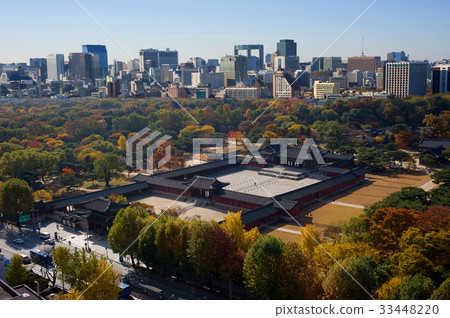 Maple,Changgyeonggung,Jongno-gu,Seoul Maple,Changgyeonggung,Jongno-gu,Seoul 33448220