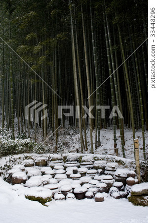 Snow, Winter, Poet, Bamboo, Damyang, Jeonnam Snow, Winter, Poet, Bamboo, Damyang, Jeonnam 33448296