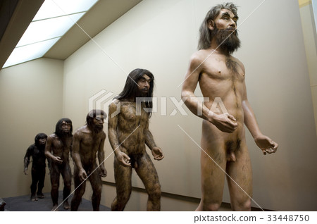 Evolution, Seodaemun Natural History Museum, Seodaemun-gu, Seoul 33448750