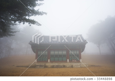 Fog, Seojungneung, Goyang-si, Gyeonggi-do Fog, Seojungneung, Goyang-si, Gyeonggi-do 33448898