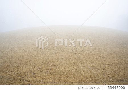 Fog, Seojungneung, Goyang-si, Gyeonggi-do Fog, Seojungneung, Goyang-si, Gyeonggi-do 33448900