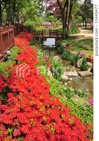 Jangchung-dong Park, Jung-gu, Seoul 33449477