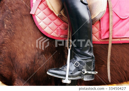 Horse, Animal, Boots 33450427