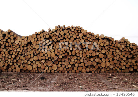 Log, stacked 33450546