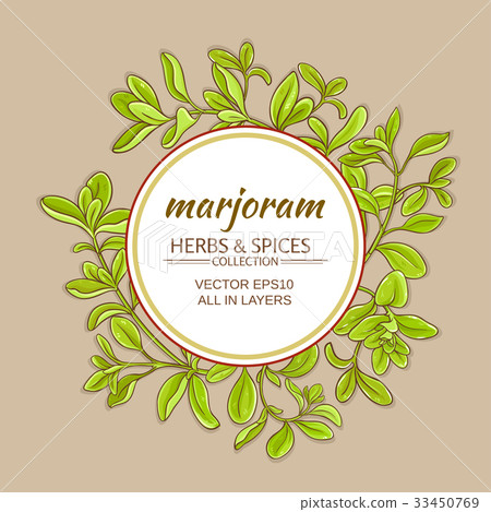 marjoram vector frame 33450769
