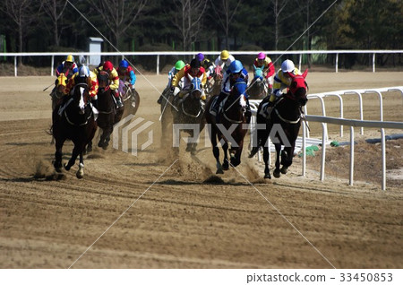 賽馬，首爾賽馬公園，果川市，京畿道 33450853