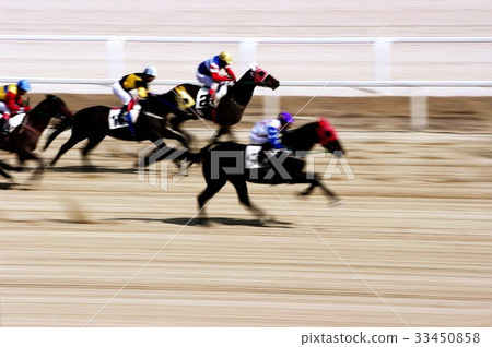 賽馬，首爾賽馬公園，果川市，京畿道 33450858