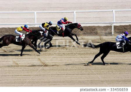 賽馬，首爾賽馬公園，果川市，京畿道 33450859