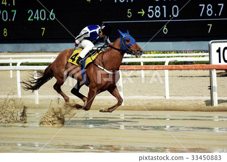 Seoul Racing Park, Gwacheon, Gyeonggi-do 33450883