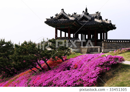 Suwon Hwaseong, Suwon, Gyeonggi-do 33451305