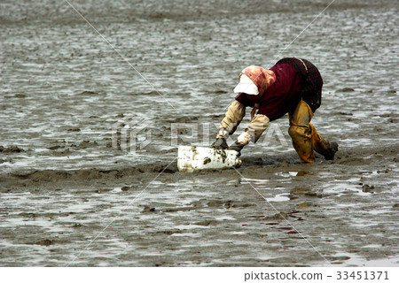 Tidal flat, Yeongjong Island, Incheon Tidal flat, Yeongjong Island, Incheon 33451371