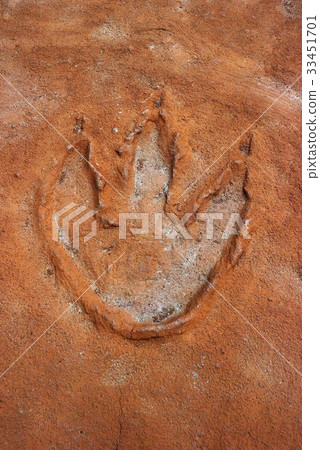 Hwaseong Folk Dance Dinosaur Fossil Mountain, Hwaseong, Gyeonggi-do 33451701