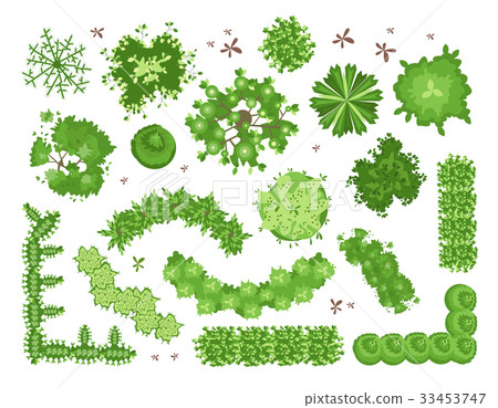 Set of different green trees, shrubs, hedges. Top 33453747