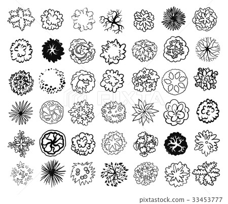 Trees, bushes and shrubs, top view for landscape 33453777