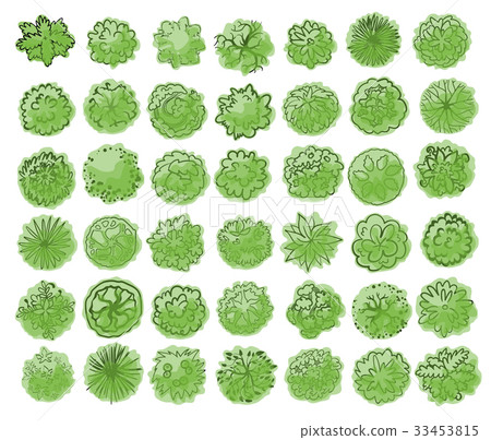 Various trees, bushes and shrubs, top view for 33453815