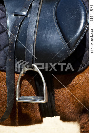 saddle 33453971