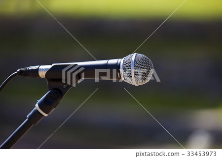 MIC 33453973