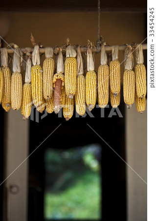 Corn, Yongin Folk Village, Yongin-si, Gyeonggi-do 33454245