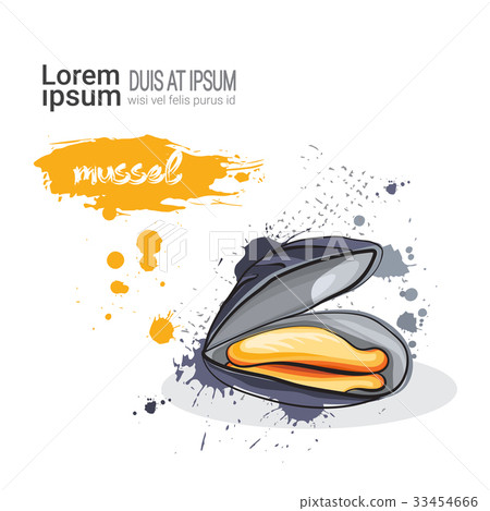 Mussel Hand Drawn Watercolor Sea Food On White Mussel Hand Drawn Watercolor Sea Food On White 33454666