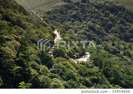 Taiwan scenery mountain view Yangmingshan Taipei road mountain road mountain car motorcycle locomotive heavy locomotive tree outdoor activities leisure activities 33454889