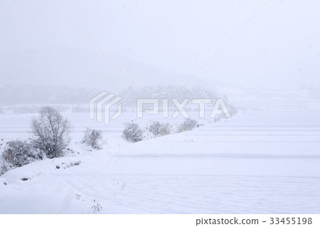 雪,冬天,高敞郡,全北 雪,冬天,高敞郡,全北 33455198